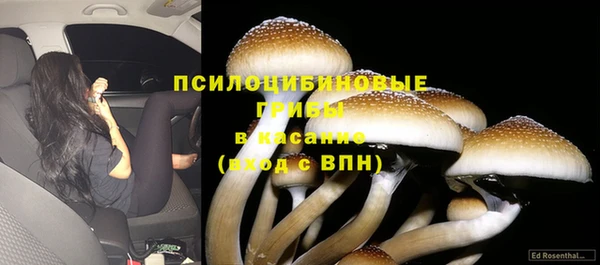марки nbome Новозыбков