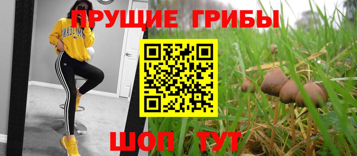 Галлюциногенные грибы Psilocybine cubensis  сколько стоит  Феодосия  Вход с VPN 